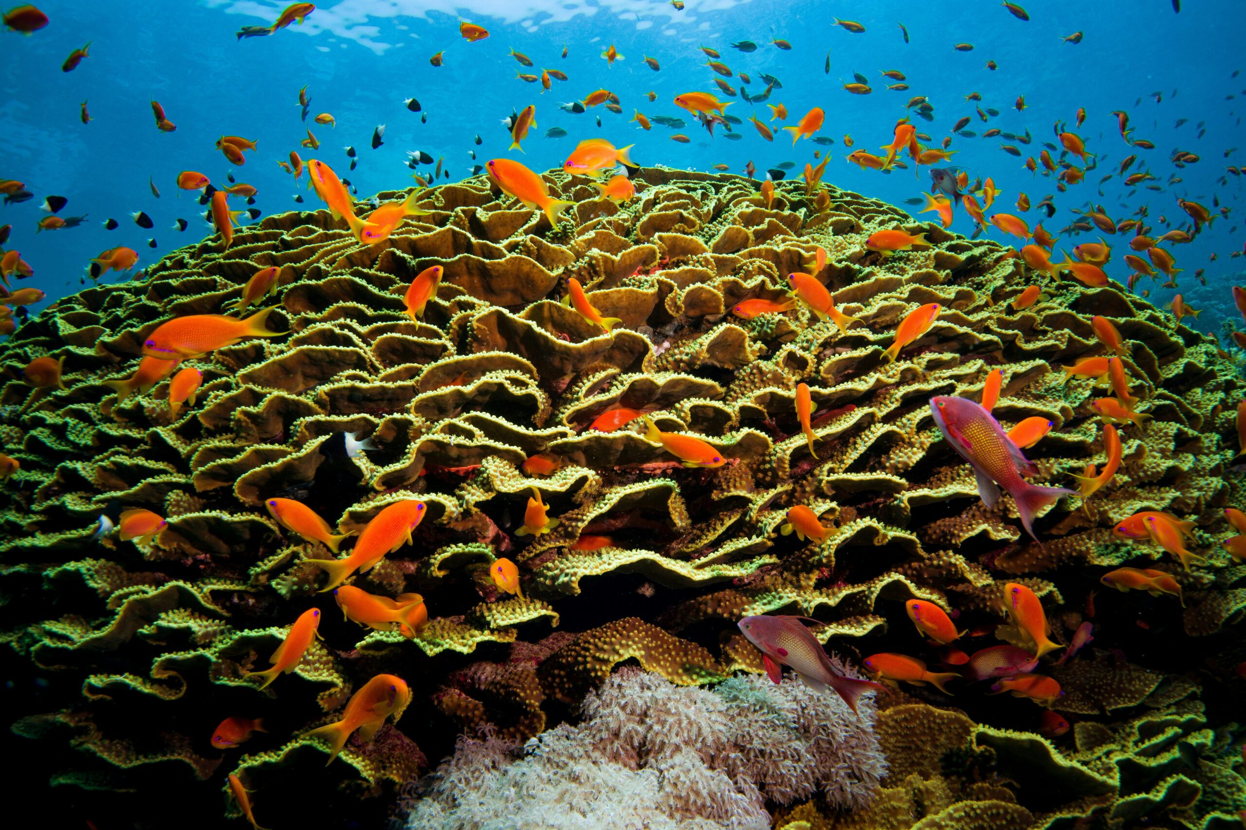 Hurghada