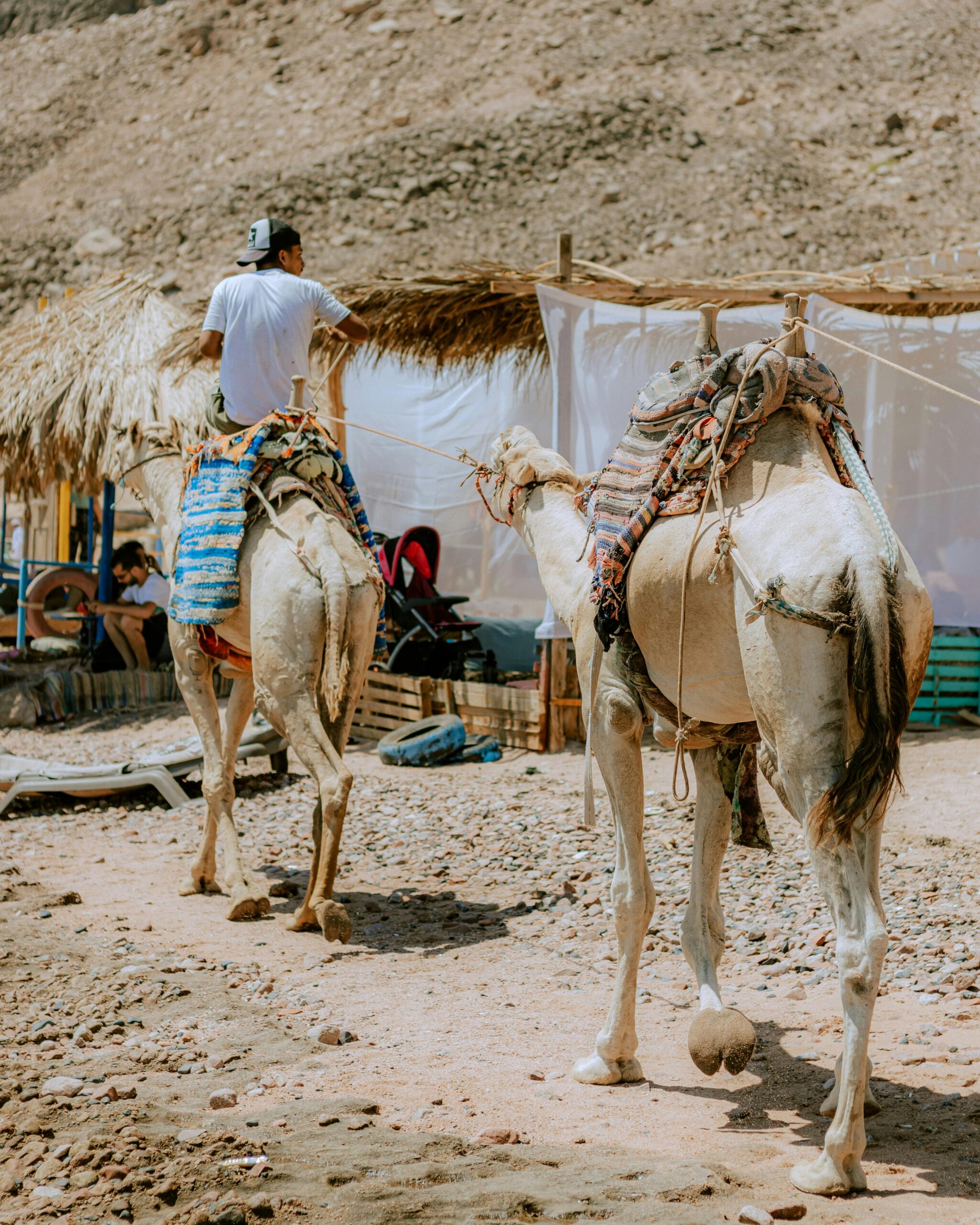 Bedouin Village