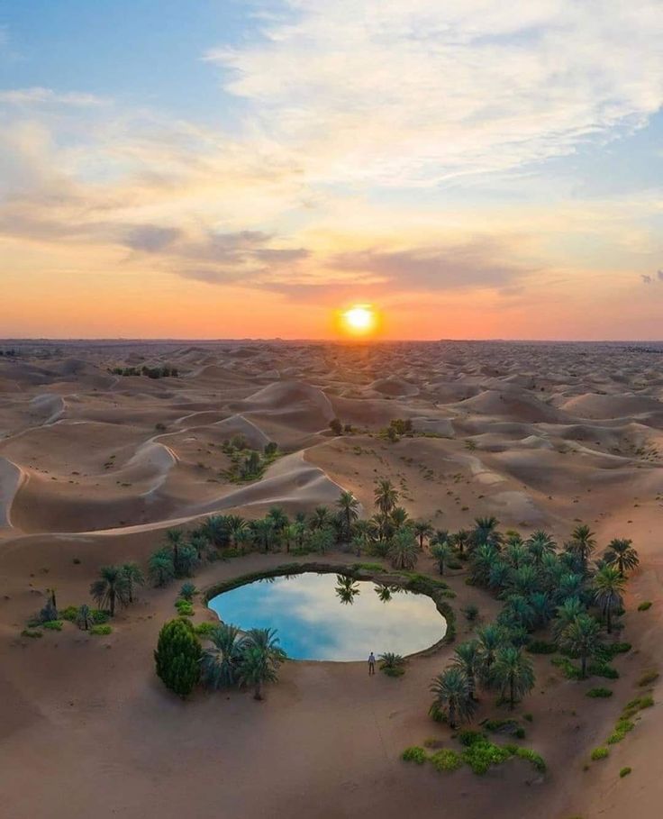 Desert Safari with Bedouin Camp