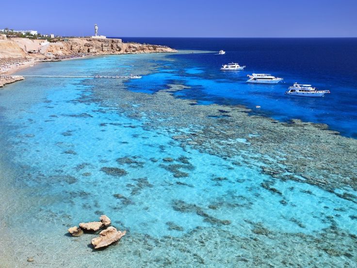 Naama Bay