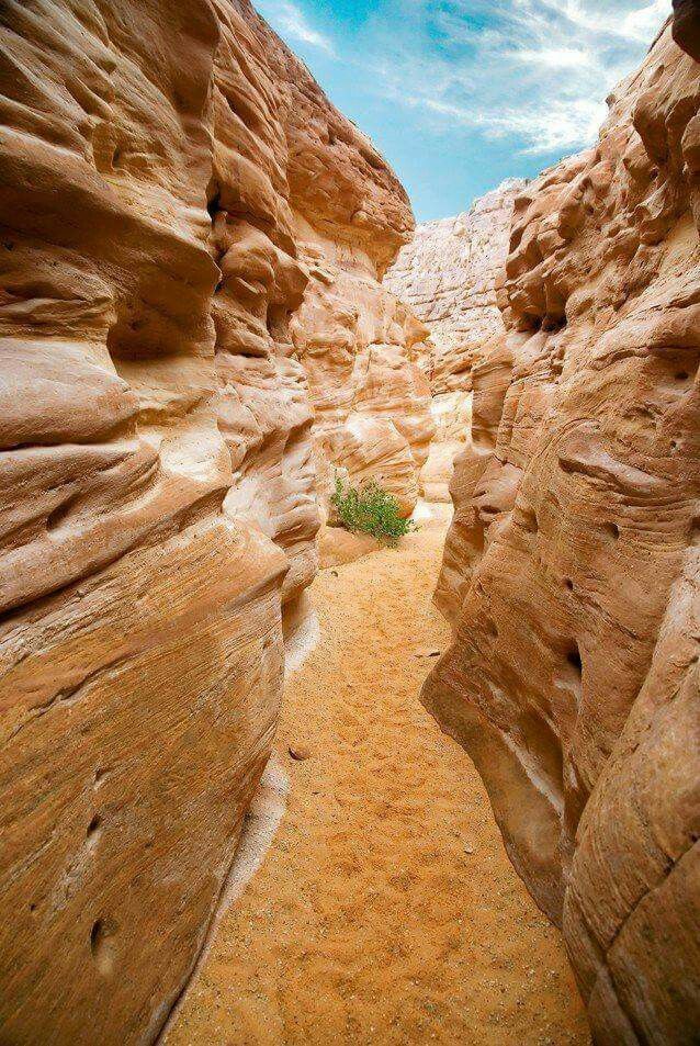 Rocky canyons