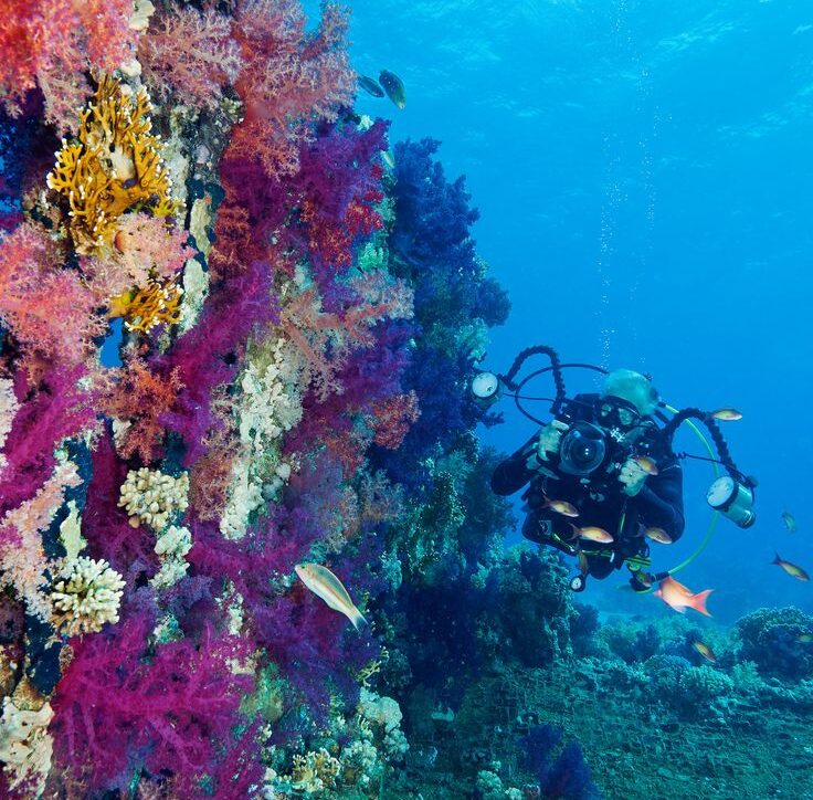 Yolanda Reef