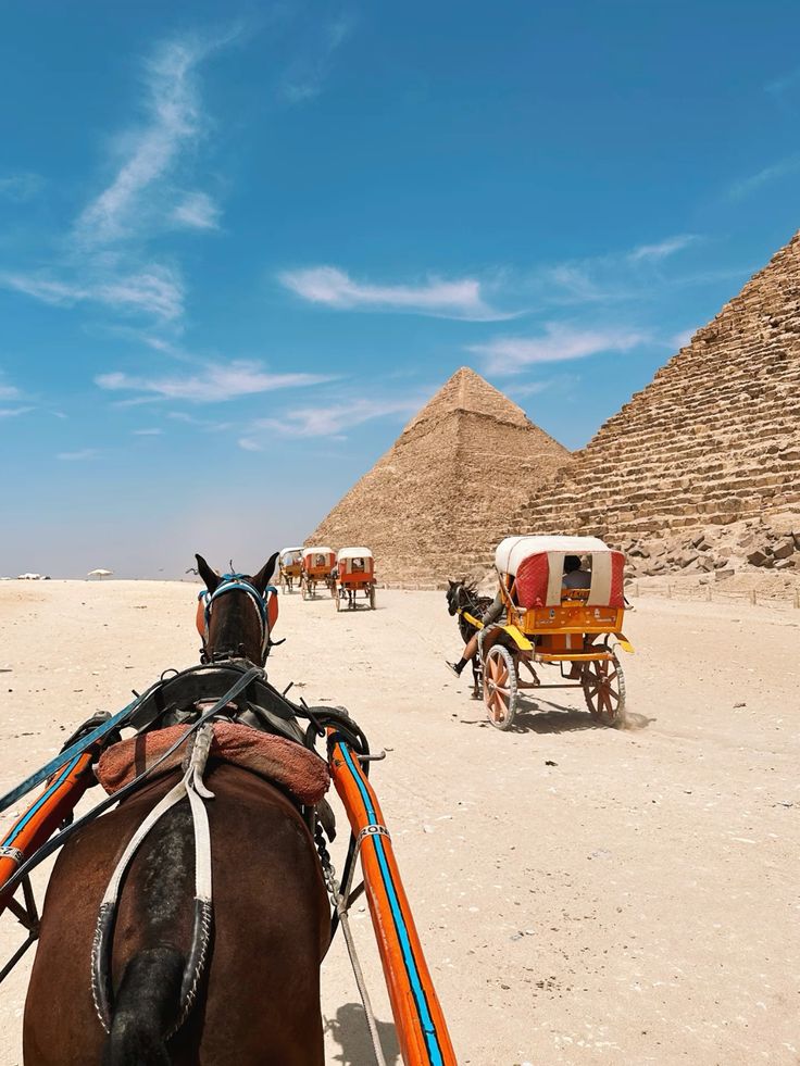 Cairo Day Tour from Aswan by Flight