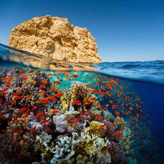sea