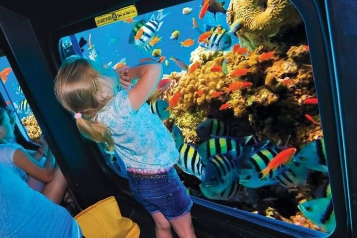 underwater sharm