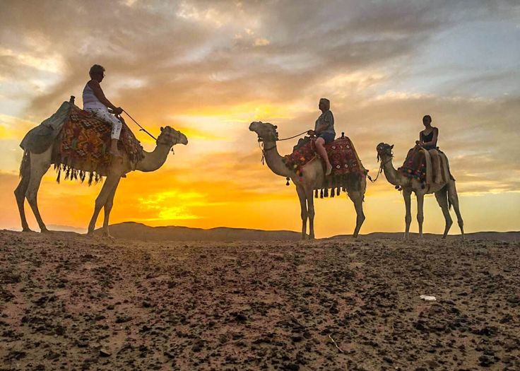 Marsa Alam Desert Safari