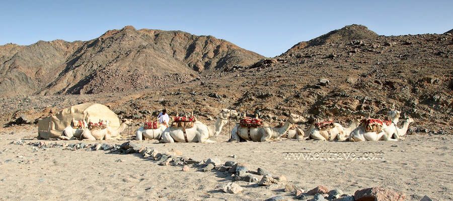 Wadi el Gemal National Park