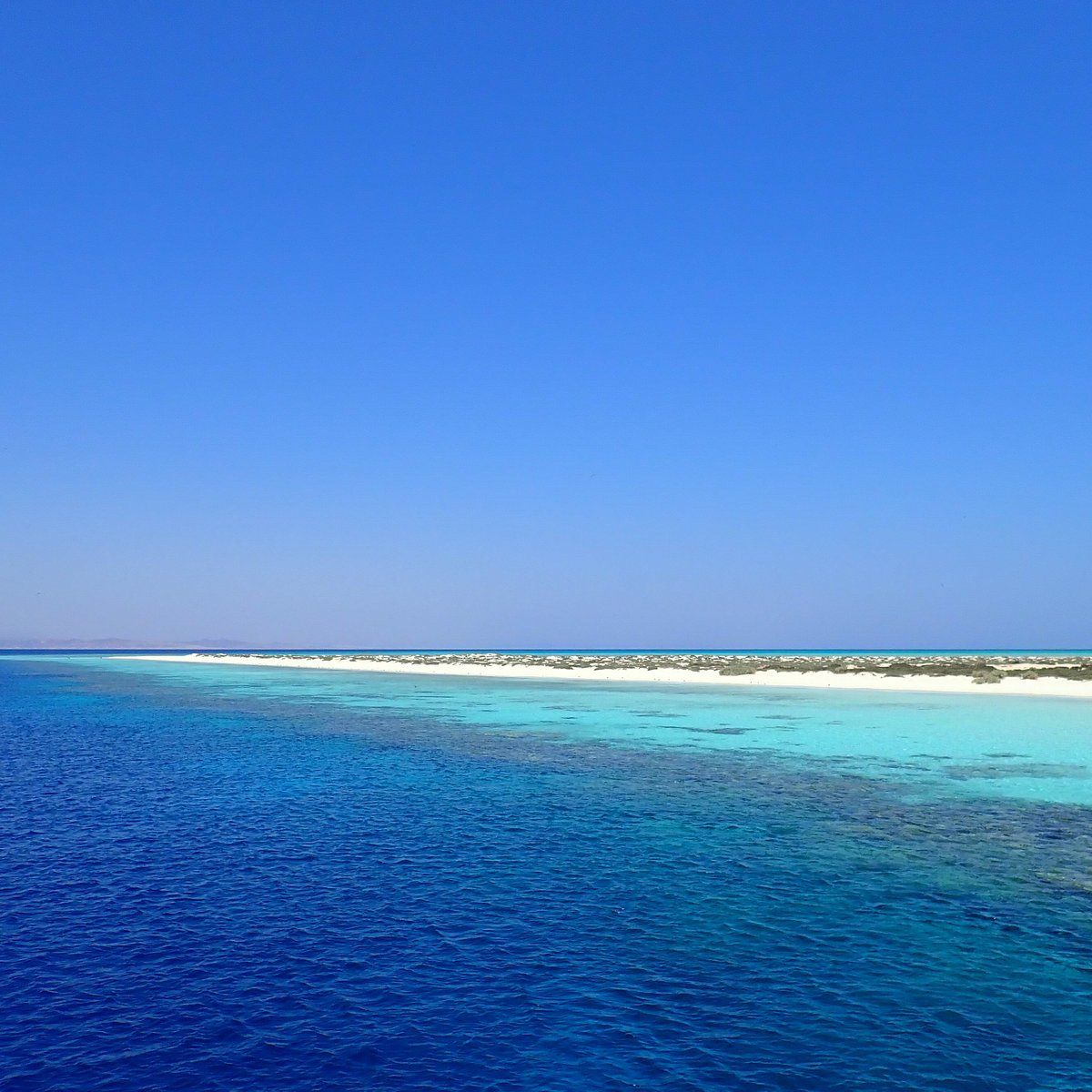 Wadi El Gemal National Park Tour